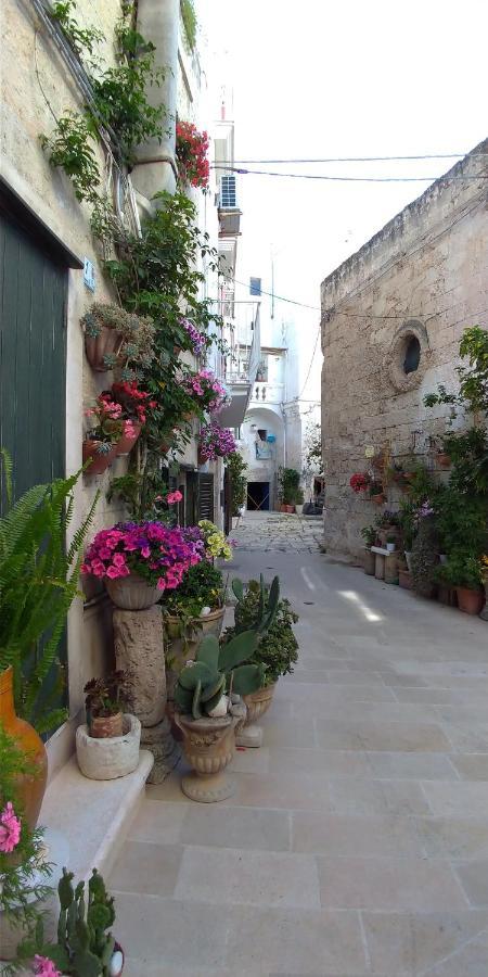 Hotel My Monopoli- Casa Dei Fiori "Orchidea" Centro Storico Exterior foto